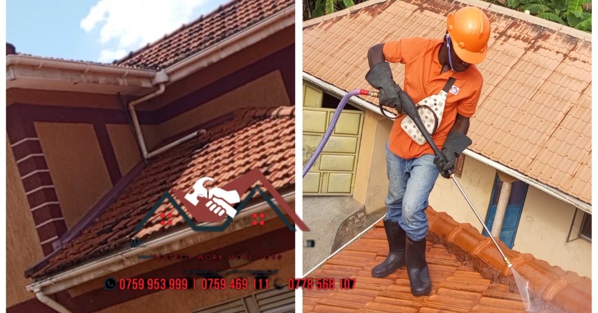 Tips for protecting your roof